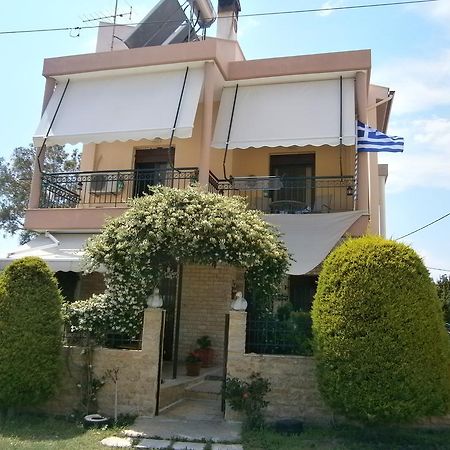Sofia'S Villa Nikiti  Bagian luar foto